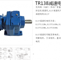 減速電機TR138-Y45-4P-24.38-M1型號解析